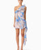 Briony Mini Dress